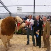Overall Champion 'Banwy T-Rex'