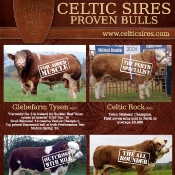 Celtic Sires