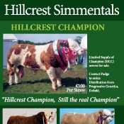 Hillcrest Simmentals