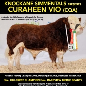 Knockane Simmentals
