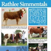 Rathlee Simmentals