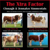 Clonagh & Jennalyn Simmentals