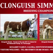 Clonguish Simmentals