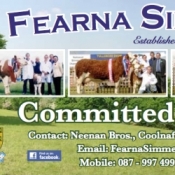 Fearna Simmentals