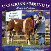 Lisnacrann Simmentals