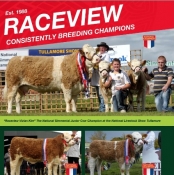 Raceview Simmentals