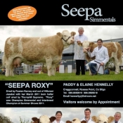 Seepa Simmentals