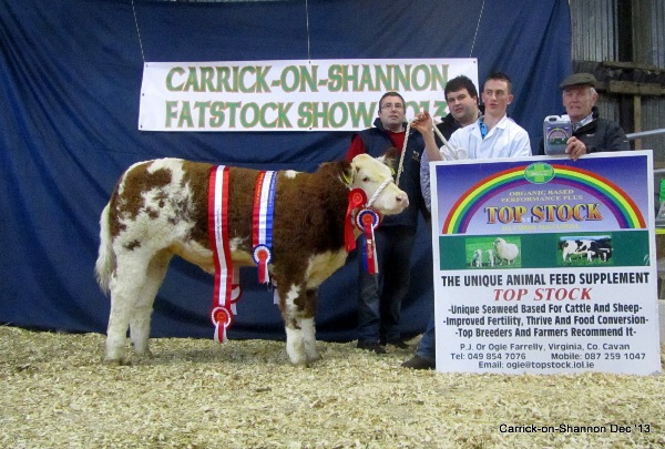 National Weanling Champ Overall Sim Champ