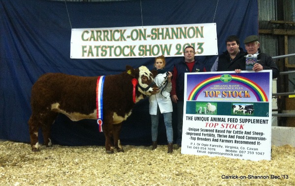 National Yearling Champion