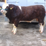 Lot 017 Bridgemount Bengy