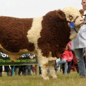 Lot 020 Doocastle Ben