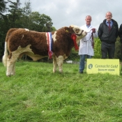 Lot 047 Larragan Chris