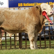 Lot 049 Curaheen Courageous