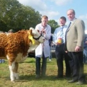 Heifer 3rd Place 'Clonglish Violet'