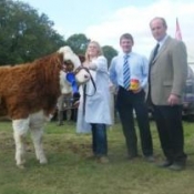 Reserve Heifer 'Raceview Verona Ramona'