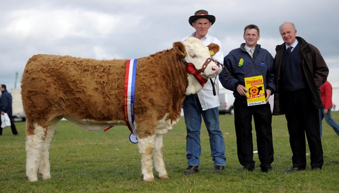 National Yearling Heifer Champion 'Raceview Winty'