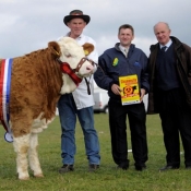 National Yearling Heifer Champion 'Raceview Winty'