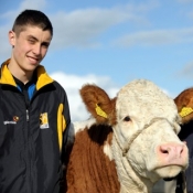 Plough 2009 Irish Farmers Journal