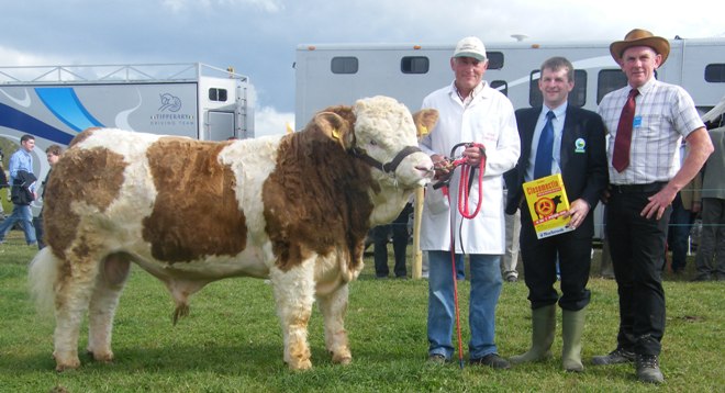 Reserve Bull 'Clonagh Accident'