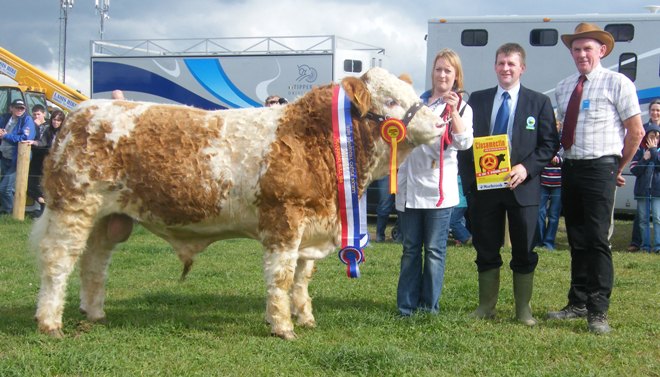 Norbrook Ploughing Bull 2010 'Clonagh Awesome Truly'