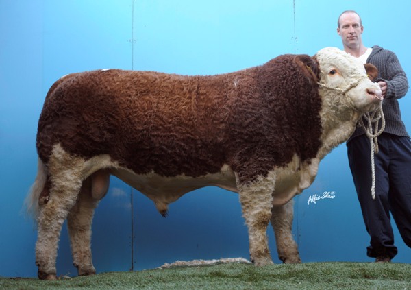 Lot 14 Curaheen Buckshot €3900