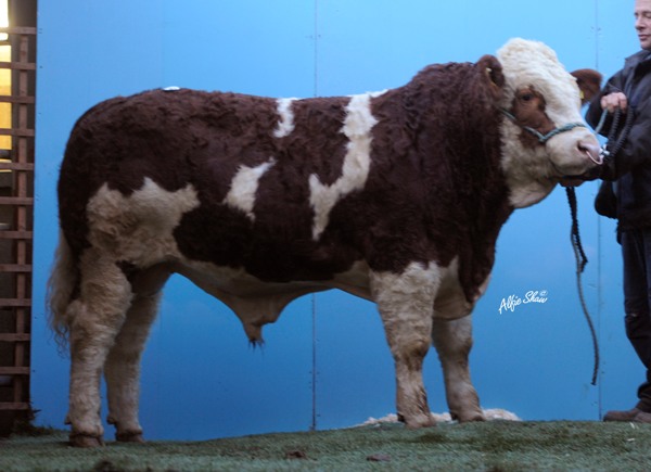 Lot 35 Cruithill Bullseye €4400