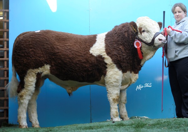 Lot 45 Towerhill Christy €5100