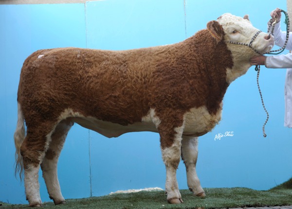 Lot 63 Carralavin Bell €4140