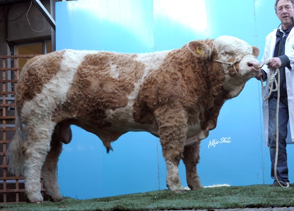 Lot 9 Auroch Bullet €5200