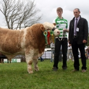 Tullow Show 2011 September Bull Calf Champion &amp; Overall Reserve Champion 'Curaheen Bossman'