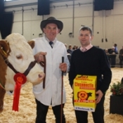 Senior Heifer