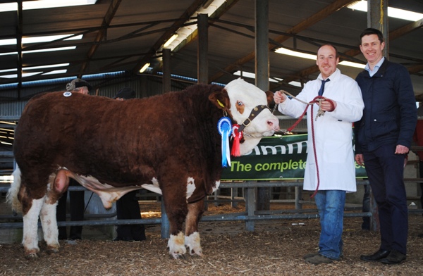 Reserve Bull Champion 'Tisaran Jackson' €2850