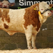 Lot 44 'Rabawn Classic' €4000