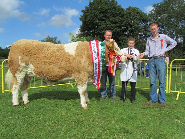 Cappamore 2011 Champion Senior Heifer & Champion Simmental with John & Ronan Touhy and Seanie McGarry, Judge.