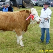 Midleton 2011 Champion 'Raceview Wyntie Matilda'