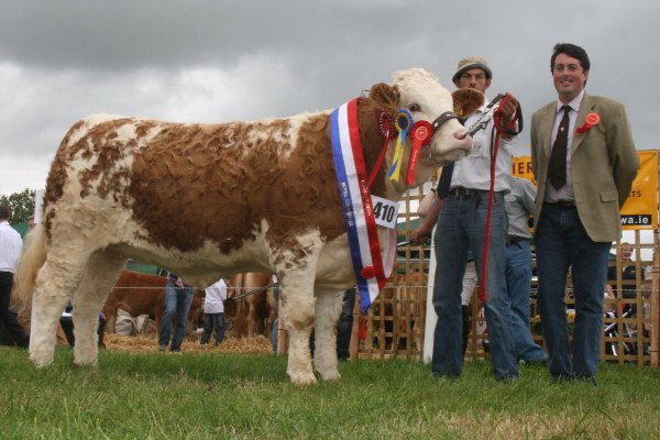 Tinahely 2011 Champion 'Clonagh Absolutely Fabulous'