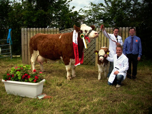 Riverstown 2012 Champion & Overall Breed Champion \'Fearna Tiffany\'