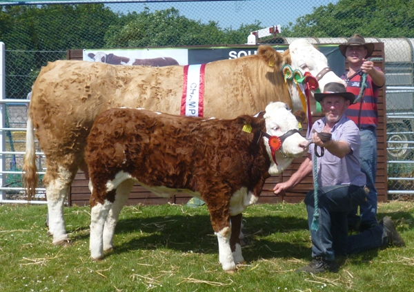 Barryroe 2013 Overall Champion Interbreed Female \'Raceview Winty Matilda\'