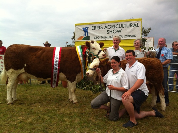 Erris 2013 Overall Simmental & Interbreed Champion \'Seepa Aster\'