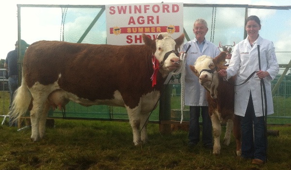 Swinford 2013 Overall Champion & Reserve Interbreed Champion \'Seepa Aster\'