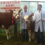 Swinford 2013 Overall Champion & Reserve Interbreed Champion \'Seepa Aster\'