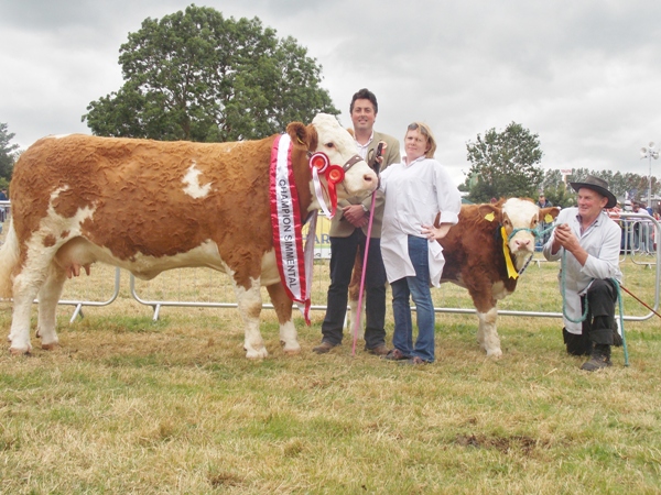 Charleville Show Female Champion 'Raceview Classy Terona'