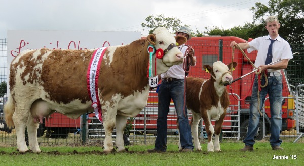 Limerick Female & Overall Champion \'Clonagh Absolutely Fabulous\'