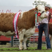 Limerick Female & Overall Champion \'Clonagh Absolutely Fabulous\'