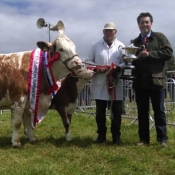 Tinahely Champion 'Clonagh Absolutely Fabulous'