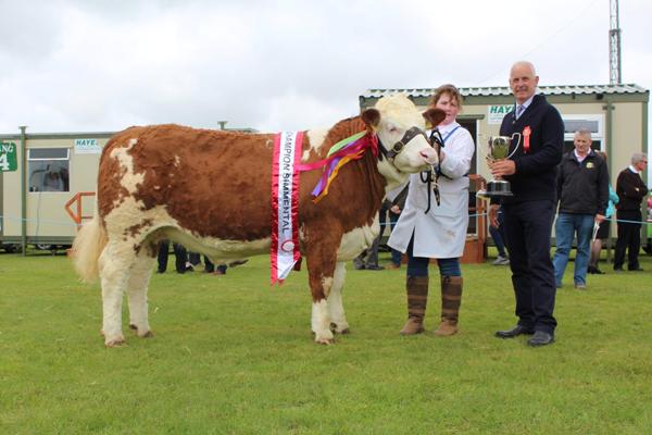 Bandon 2017 Female & Overall Champion 'Quitrent Giselle'