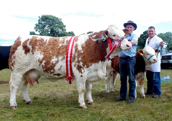 Dunmanway Overall Champion & Reserve Interbreed Champion \'Raceview Alicia Kim\'