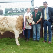 Barryroe Southern Simmental Club Oct-Nov Bull Champion \'Seaview Everest\'