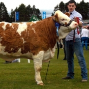 Bandon Reserve Champion 'Clonagh Delightfully Fabulous'