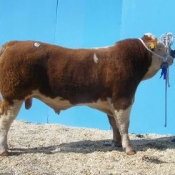 leeherd_ark_supreme_eur3000